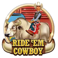 Ride em Cowboy